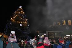 Náhodná fotogalerie